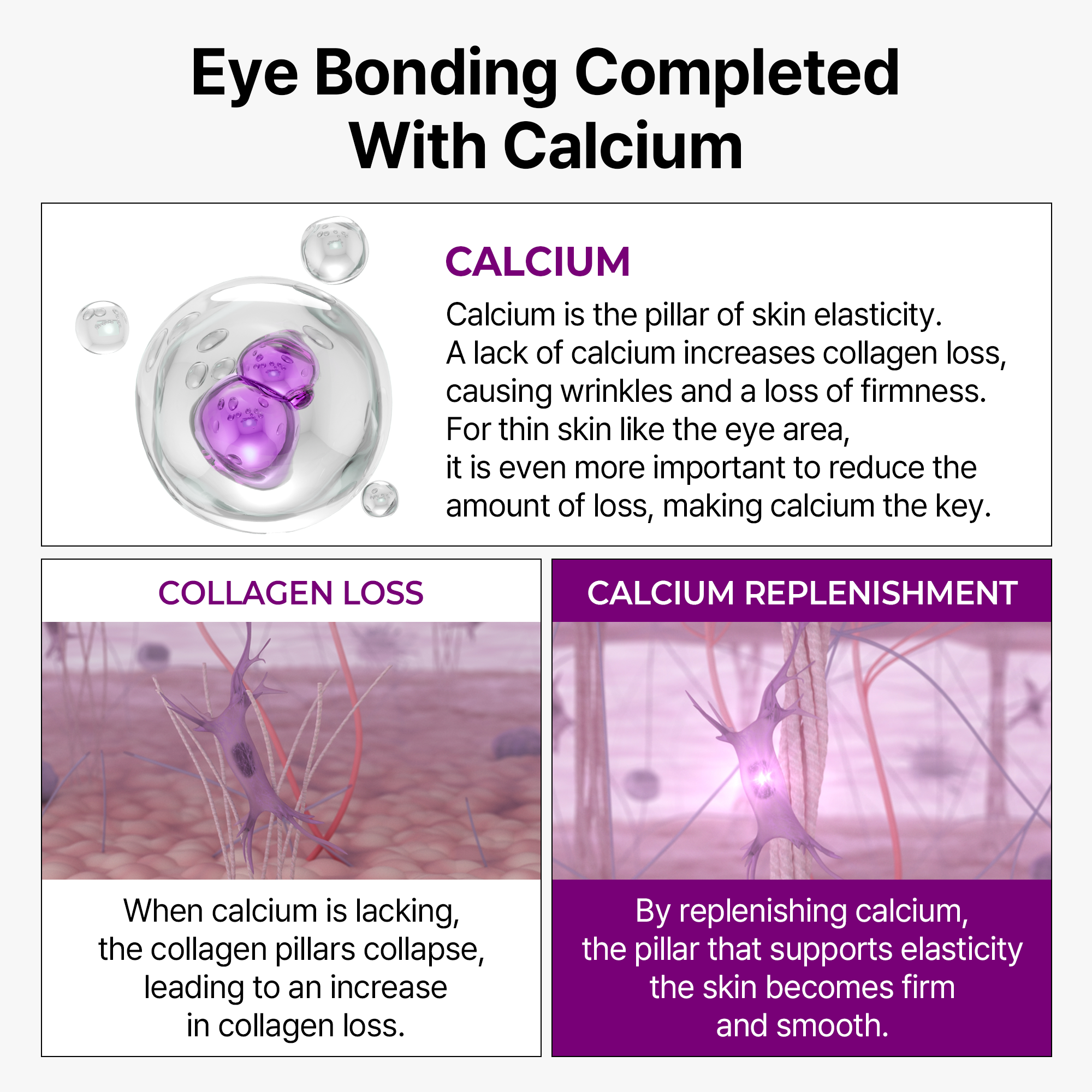 Ageless Eye Cream Duo - image 6